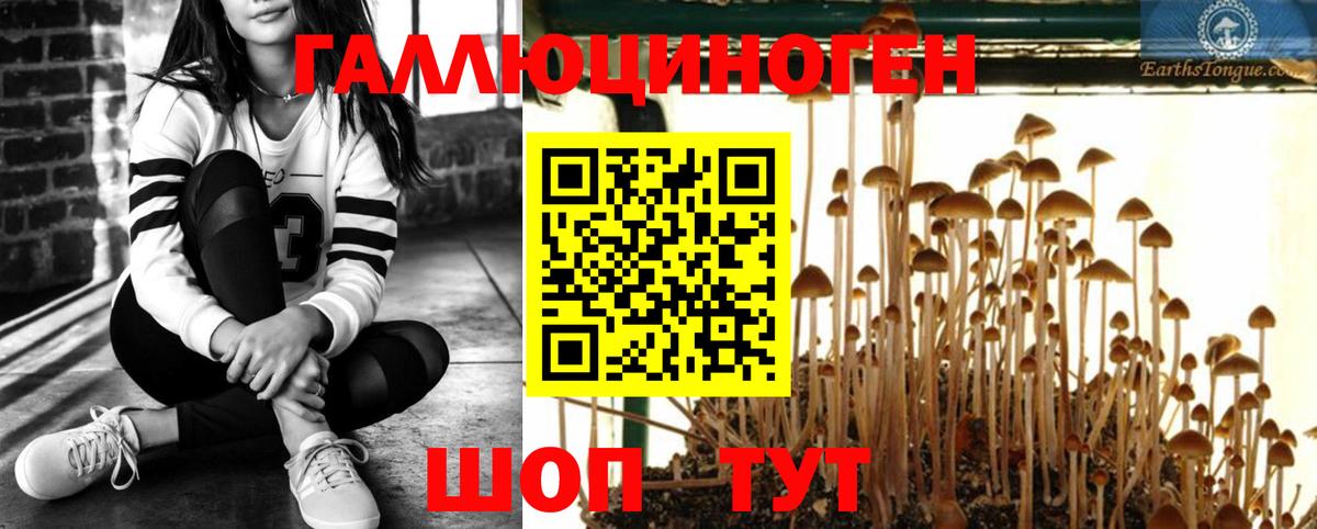 Галлюциногенные грибы Cubensis Новочеркасск